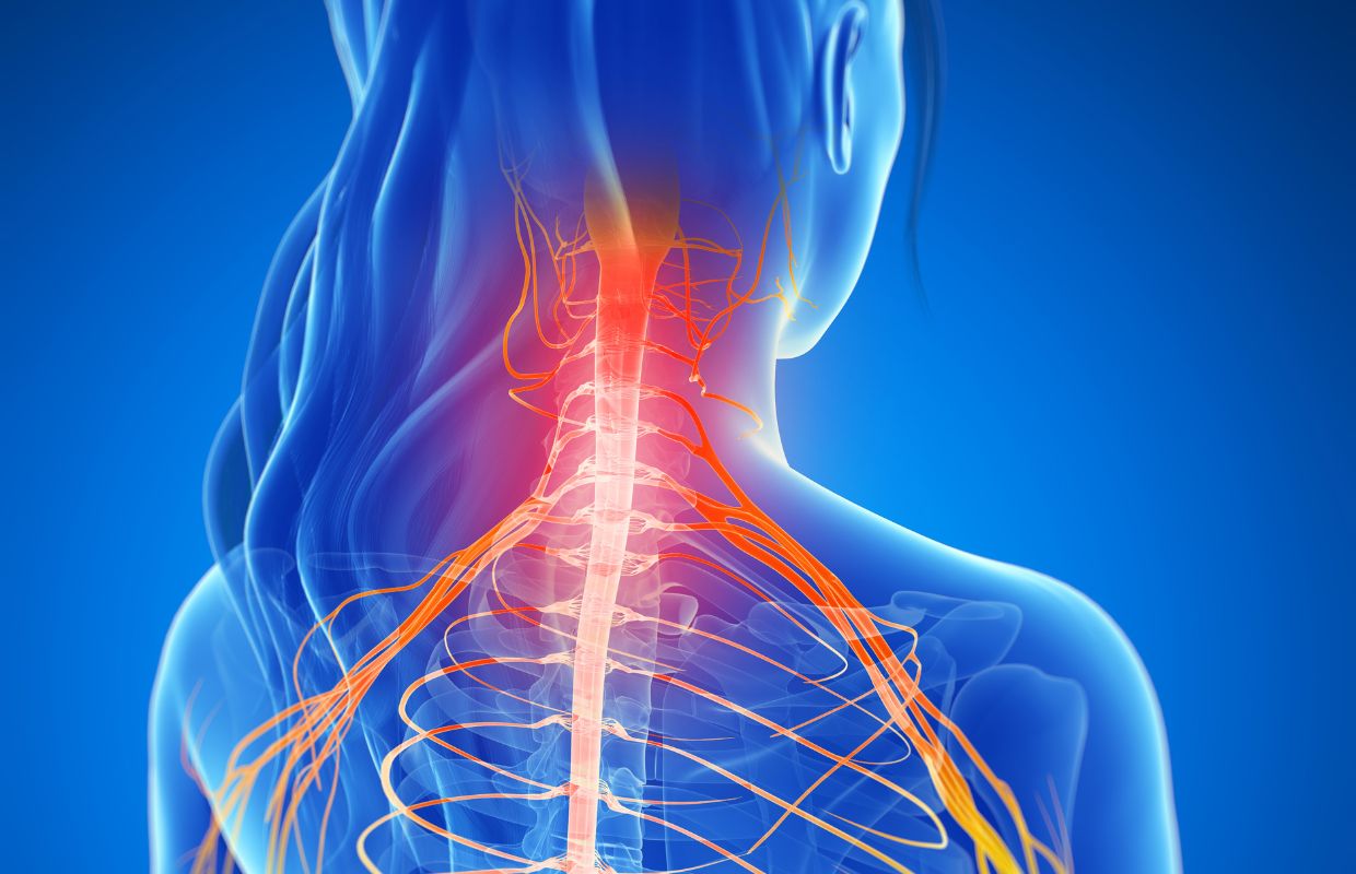 3D model of neck/spinal pain highlighted